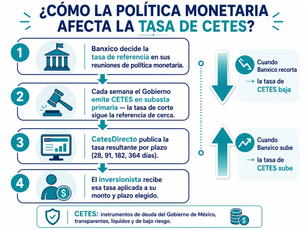 iagrama de flujo que explica el mecanismo de transmisión desde la decisión de tasa de referencia de Banxico hasta la tasa que recibe el inversionista en CETES, pasando por la subasta primaria semanal del Gobierno de México y la publicación en CetesDirecto
