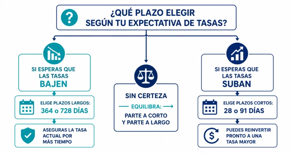 Diagrama de decisión que muestra cómo elegir el plazo óptimo en CETES según expectativa de tasas: plazos largos para asegurar la tasa actual cuando se espera baja, plazos cortos para reinvertir cuando se espera alza de Banxico