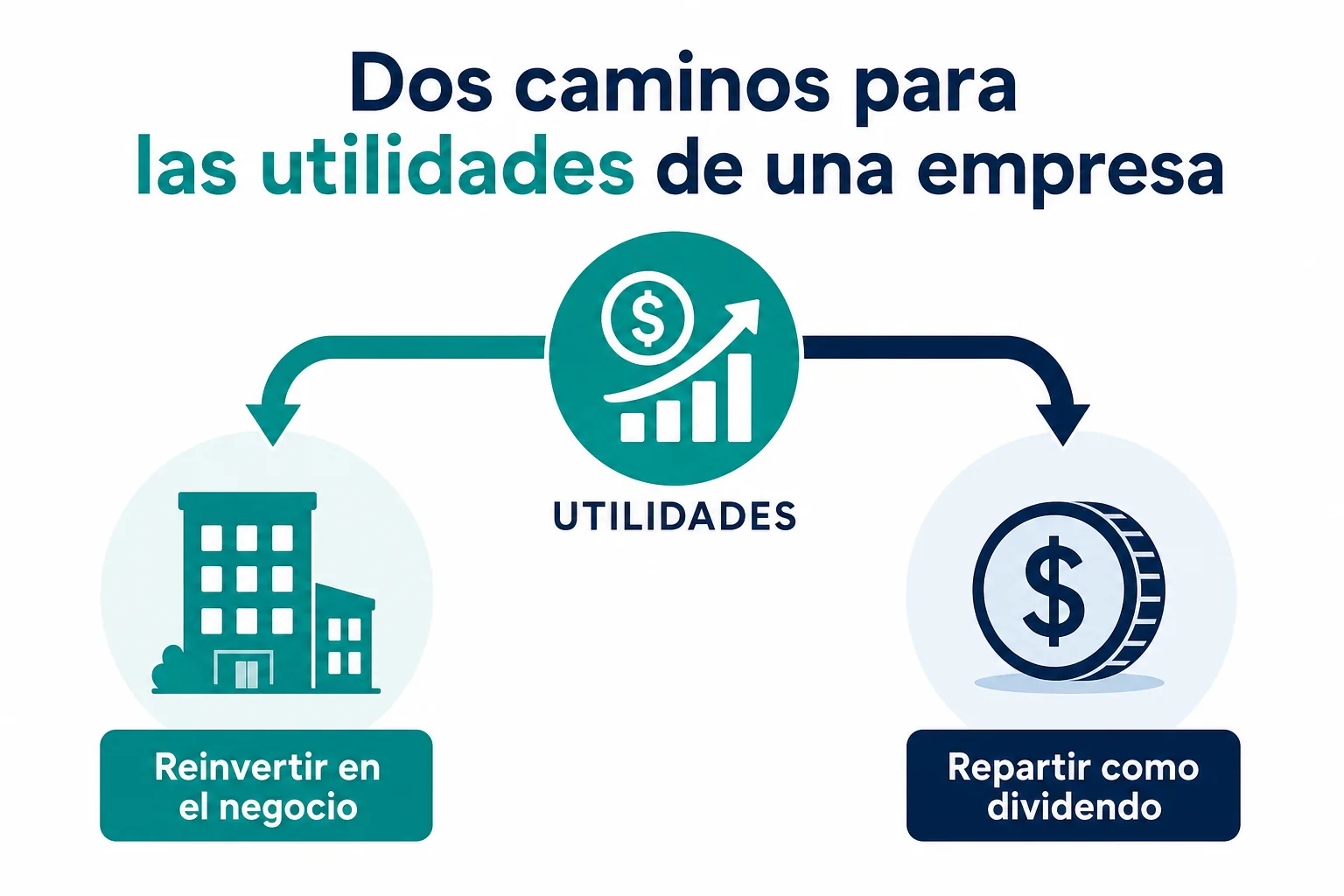 Infografía de la diferencia entre reinvertir utilidades y repartir dividendos